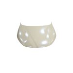 درب موتور فونیکس (FX)