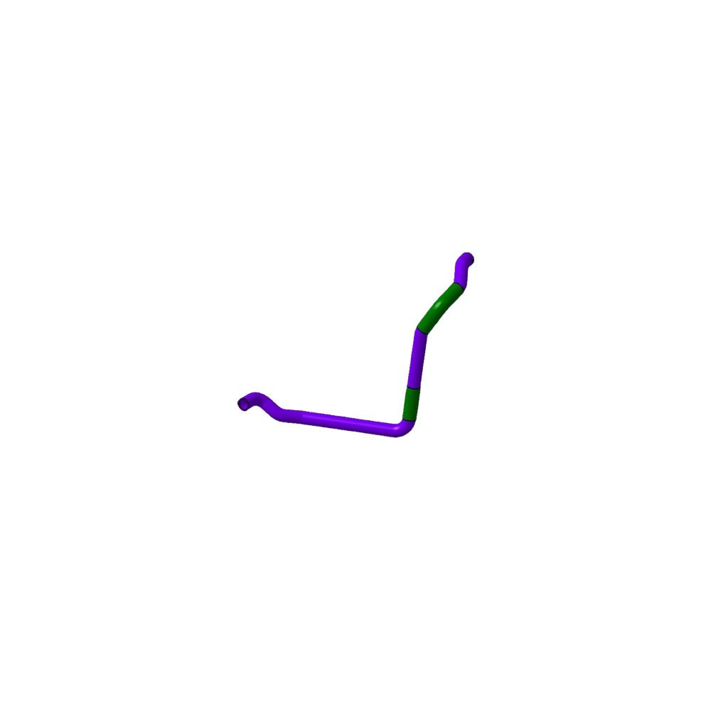 شیلنگ (لوله) پایین رادیات آریزو 5 توربو,آریزو 6